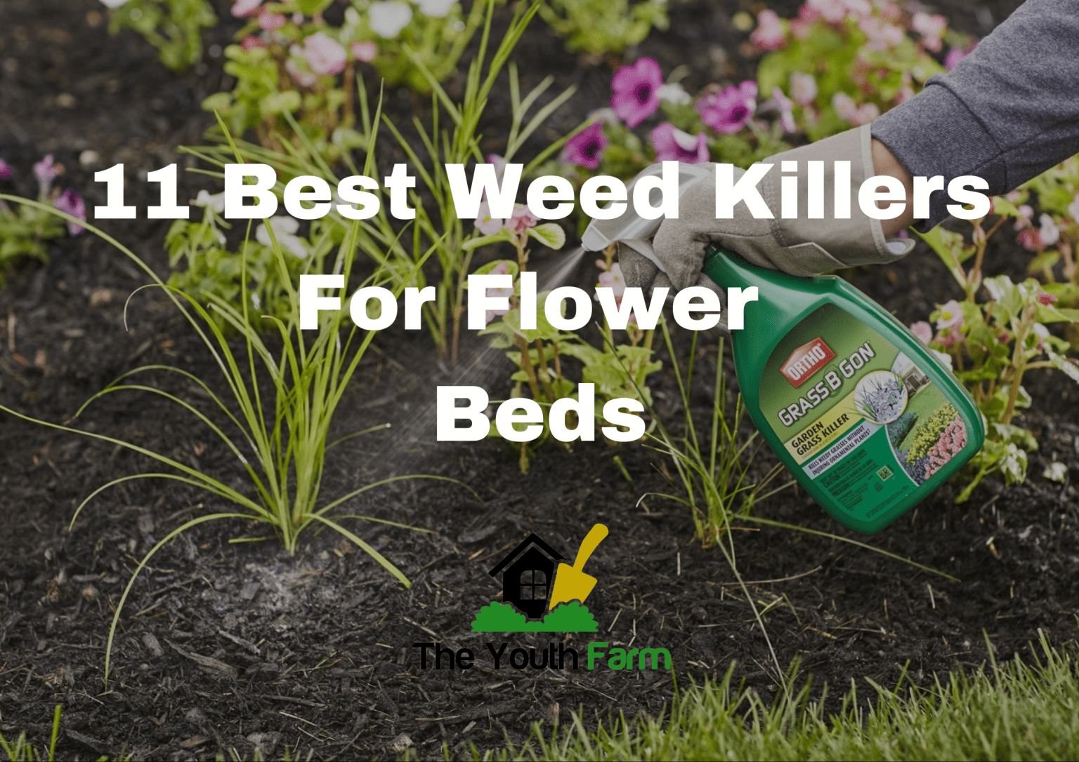 11 Best Weed Killer For Flower Beds Buying Guide TheYouthFarm