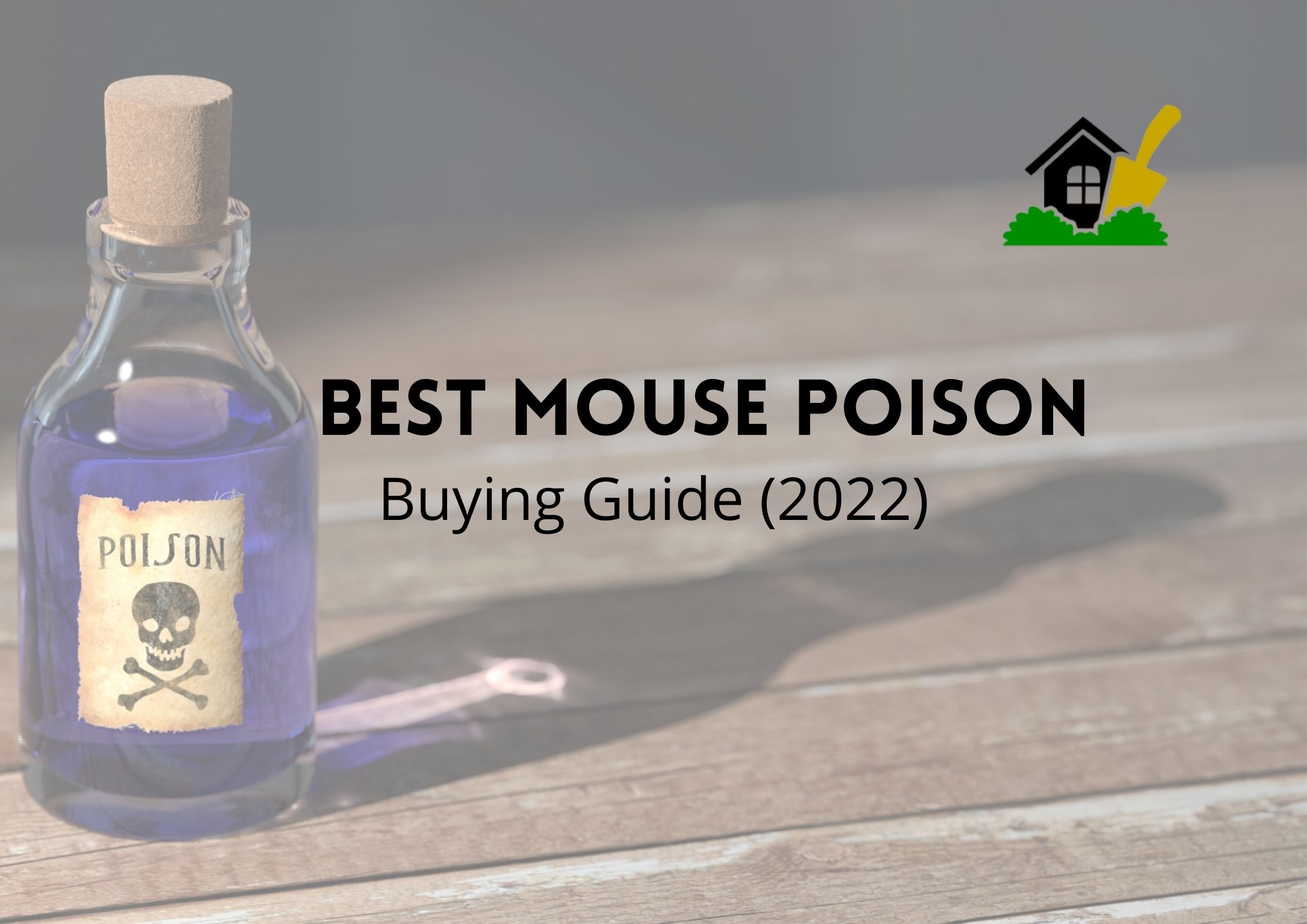 11 Best Mouse Poison | Handpicked Units Of 2022 - TheYouthFarm