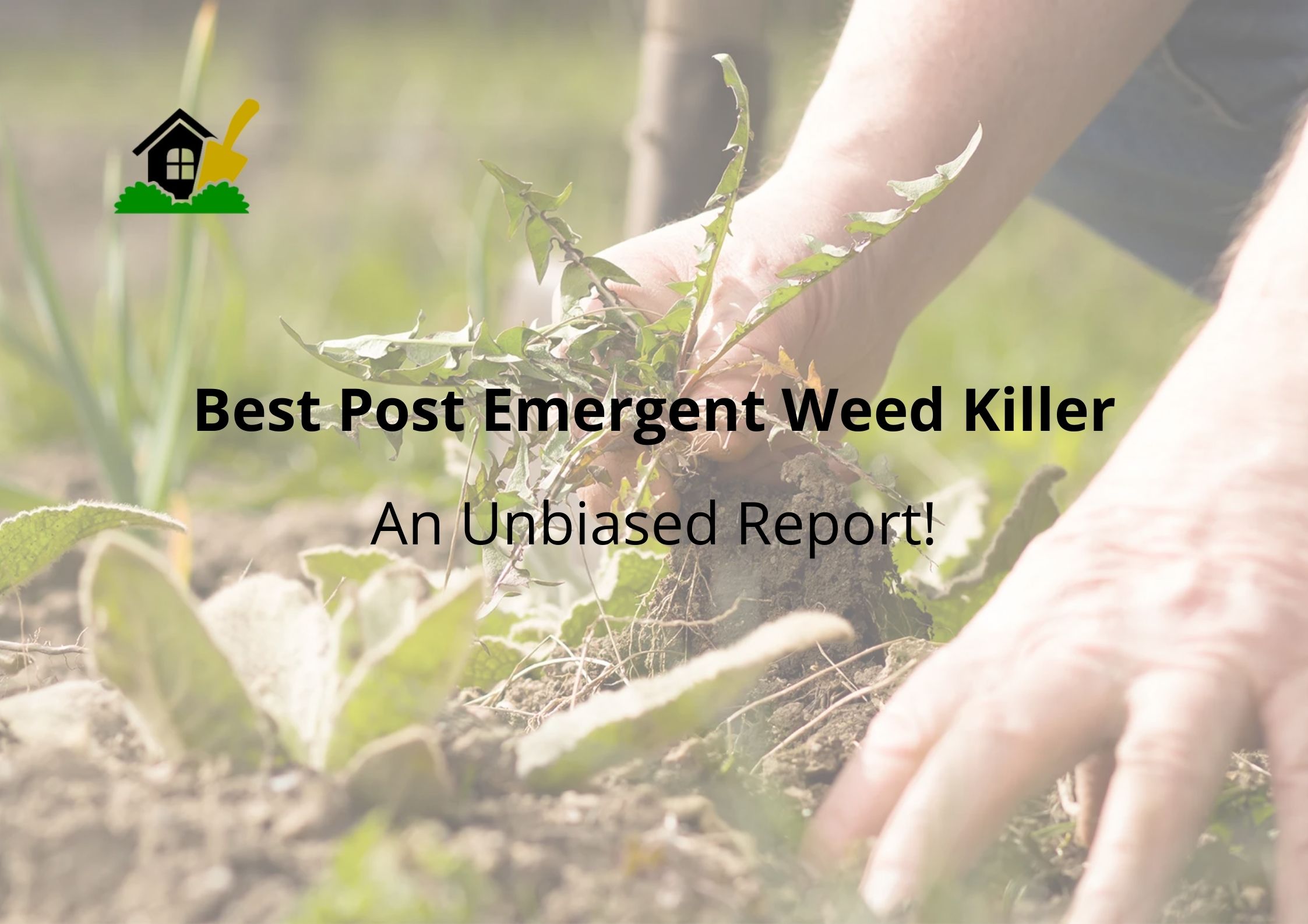 11 Best PostEmergent Weed Killer Buyer's Guide 2023 TheYouthFarm