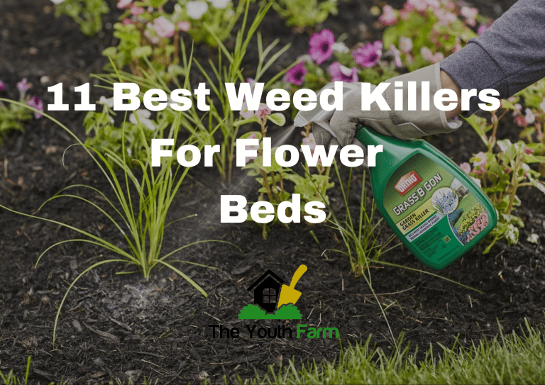 Best-Weed-Killer-For-Flower-Beds